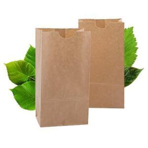 Medium Shopper Brown Bags (no Handles)