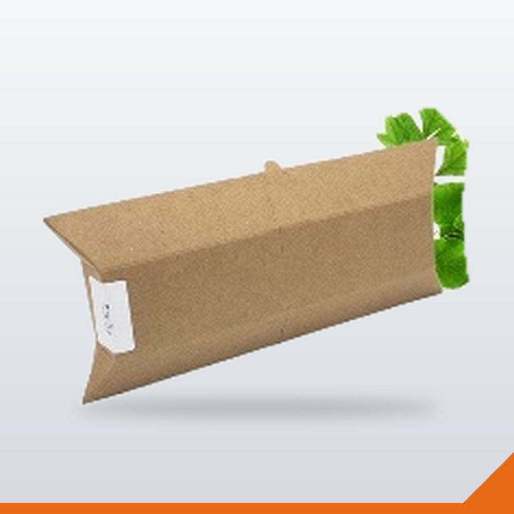 BOX-113-KFT-LONG