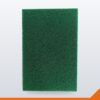 Scouring Pad