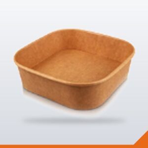 Salad Bowl Paper Square