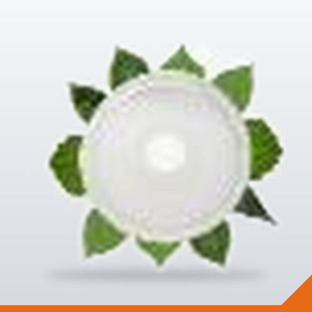 CUP-021-CLR-96