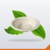 Bagasse Bowl