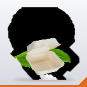 Bagasse Clamshells & Containers