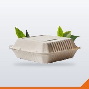 Bagasse Clamshell 1 Compartment Square