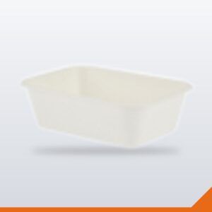 Bagasse Container