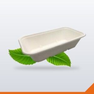 Bagasse Container Base Rectangular