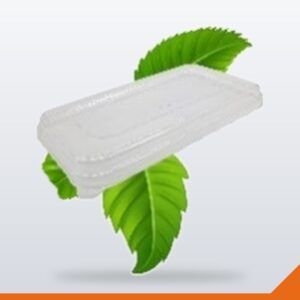 Bagasse Container Lid PET Rectangular