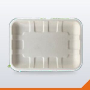 Bagasse Food Tray