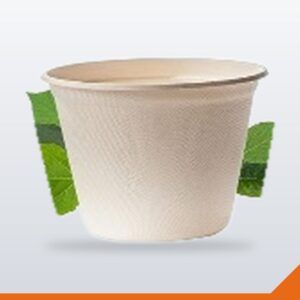 Bagasse Noodle Bowl