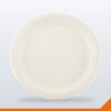 Bagasse Plate