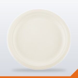 Bagasse Plate