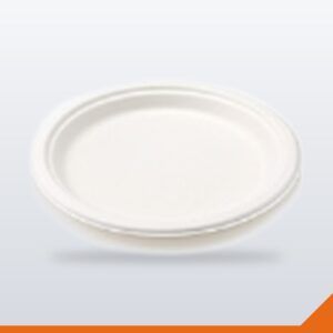 Bagasse Plate Round