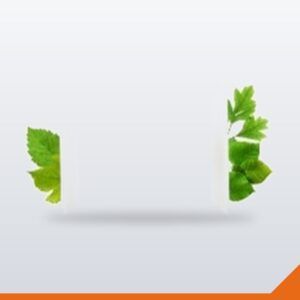 Bagasse Plate Square