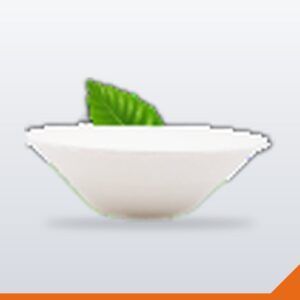 Bagasse Salad Bowl