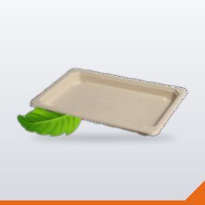 Bagasse Sushi Tray