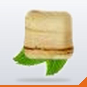 Palm Leaf Plate Square