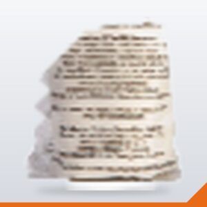 Toilet Seat Wipes