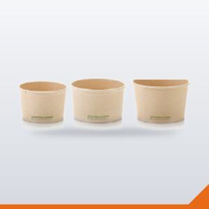 Bamboo Paper Ice Cream Tub