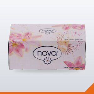 Facial Tissues 2-Ply – 200/Box