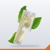 Cutlery Pack Cornstarch