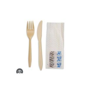 Plastic Dessert Spoon White