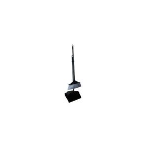 Plastic Broom Scoop Color